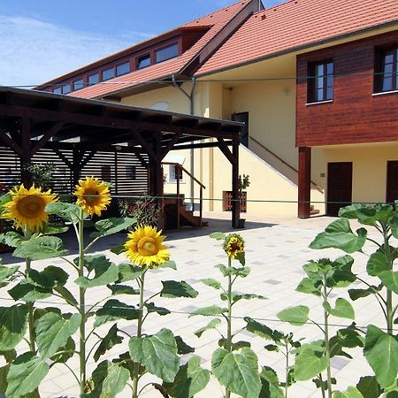 Hotel Pod Sluncem Třebíz Exteriör bild