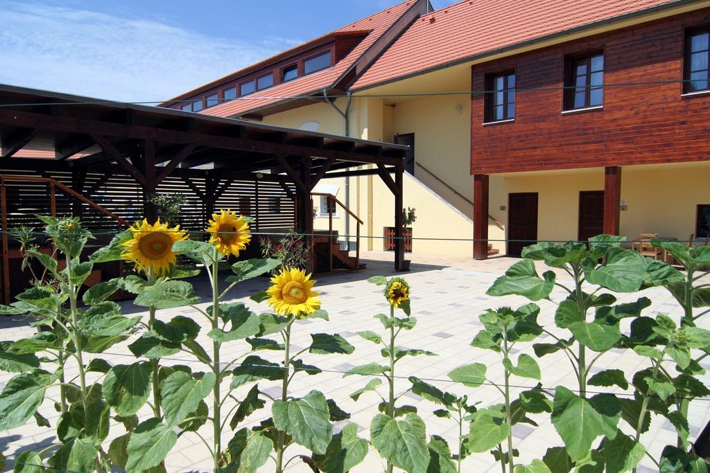Hotel Pod Sluncem Třebíz Exteriör bild